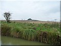 SU1260 : North bank and towpath, Kennet & Avon canal by Christine Johnstone