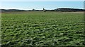 TG1143 : Towards Weybourne Mill by Derek Harper