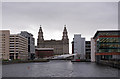 SJ3390 : Royal Liver Building from Princes Dock (2) by The Carlisle Kid