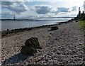 TA0325 : Humber shoreline at Hessle by Mat Fascione