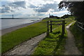 TA0425 : Trans Pennine Trail along the Humber shoreline by Mat Fascione