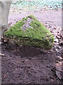 SJ2385 : National Trust boundary stone (3) on Thurstaston Common by John S Turner