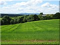 SO7977 : View to Brown Clee Hill by Philip Halling