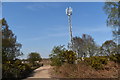 TM3550 : Mobile phone mast on the edge of Rendlesham Forest by Simon Mortimer