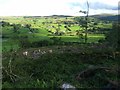 SH7951 : Looking south west from the forest trail by David Medcalf