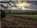 SO7977 : Farmland next to Hoarstone Lane by Mat Fascione