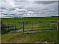  : Double gate and grassy field near West Greenland by David Medcalf