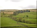 SH7849 : Bro Machno : Countryside Scenery by Lewis Clarke