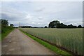 SE6145 : Barley fields near Highfield Farm by DS Pugh