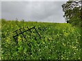 SO7977 : Old farm machinery near Hoarstone Lane by Mat Fascione