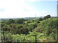 SH6169 : The wooded valley of a tributary of Afon y Llan by Eric Jones