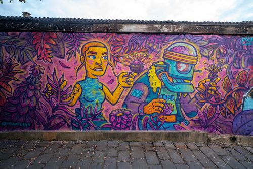 Girl robot and plants by Pit in Melbourne