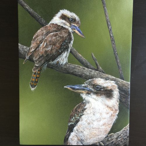 Kookaburras 