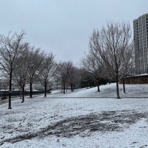 Montgomery Ward Park on Yelp