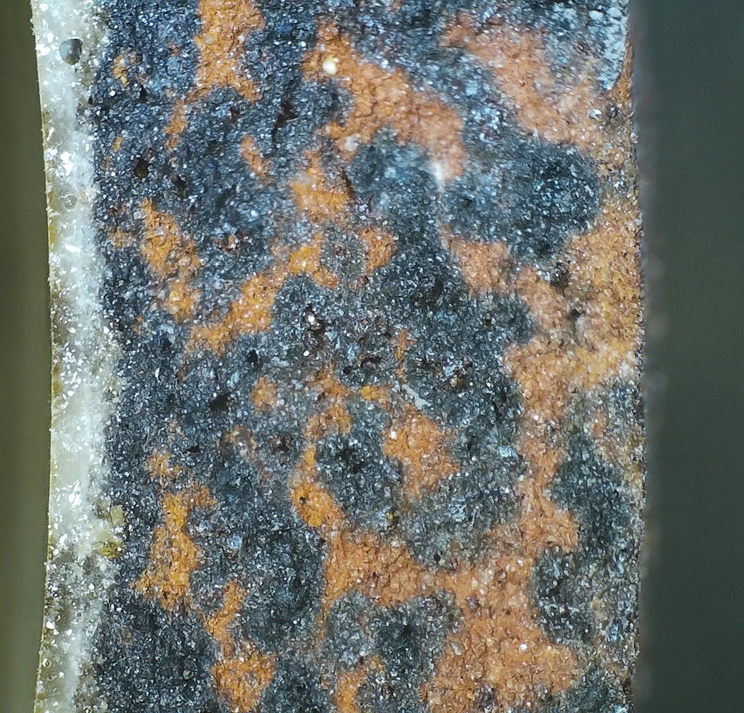 Closeup of black coring in a pottery shard