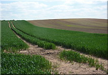  : Open field south of Retford golf course by Andrew Hill