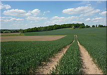  : Open farmland towards Whisker Hill by Andrew Hill