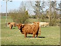 SP5159 : Lower Catesby Farmland by Ian Rob