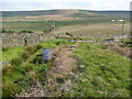 SE0116 : Streams approaching the boundary of the moor by Humphrey Bolton