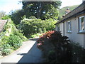 SS6949 : From a window - Lee Abbey, North Devon by Martin Richard Phelan