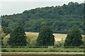 SK8808 : View of a line of trees by Egleton Lake from Snipe Hide in Rutland Water Nature Reserve by Robert Lamb