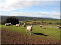 SO7877 : View across Severn Valley from Hall's farm by Noisar