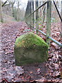 SJ2485 : National Trust boundary stone (2) on Thurstaston Common by John S Turner