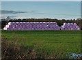 SE6921 : Bales of hay by Bridge Lane. Rawcliffe Bridge by Neil Theasby