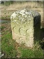 SW5638 : Old Boundary Marker close to Glebe Row, Hayle by T Jenkinson