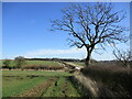 SK8605 : Bridleway to Gunthorpe by Jonathan Thacker