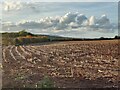 SO7877 : Farmland next to the Wassell Wood Circular Walk by Mat Fascione