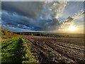 SO7877 : Wassell Wood Circular Walk towards Bewdley by Mat Fascione