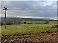 SO7977 : Farmland next to Hoarstone Lane by Mat Fascione