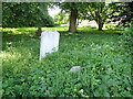 TQ4861 : Old Halstead Churchyard by Marathon