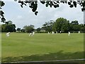  : Idyllic rural scene at Rockhampton Cricket Club by Ruth Sharville