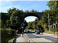 SE4622 : Railway viaduct north-west of Pontefract by Bob Bowyer