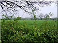 SK8808 : Fields near A606 by Graham Horn