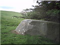 NZ0393 : Fontburn Reservoir cup and ring marked stone by Pete Saunders