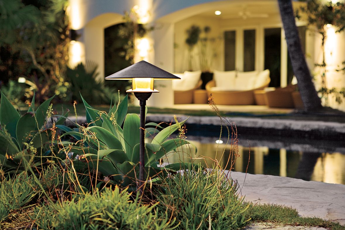 A garden light shining over a plant at night.