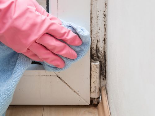 A person using a rag to clean mold from a door.