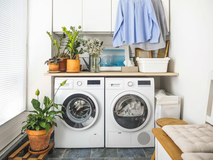 A washing and drying machine with potted plants on top of it.