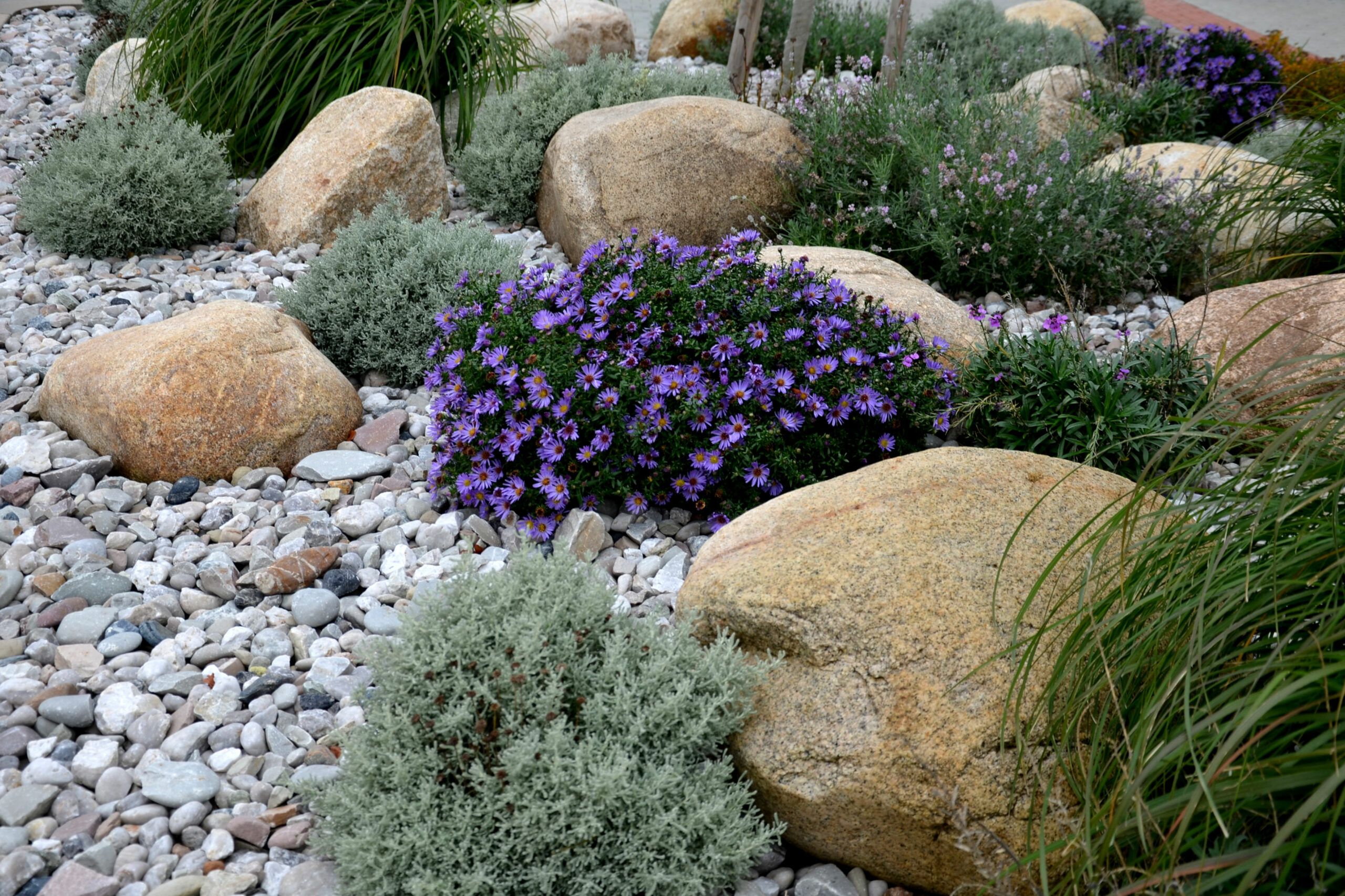 Rock garden created using a variety of landscaping rocks and plants.