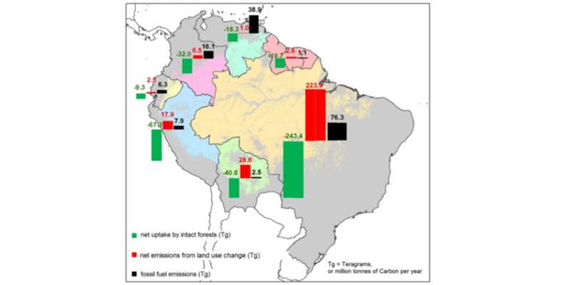 Carbon uptake by Amazon forests matches region's emissions