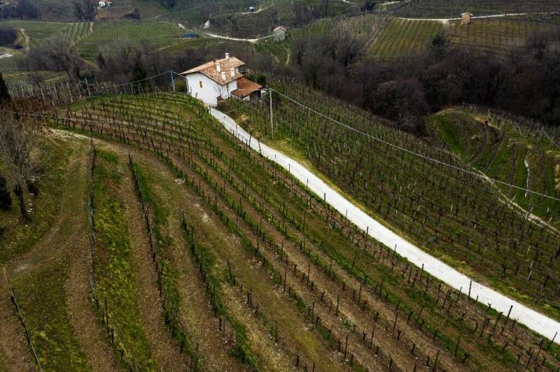 &quot;The landscape is characterised by 'hogback' hills (or) ciglioni,&quot; UNESCO said.&quot;For centuries, this rugged terrai