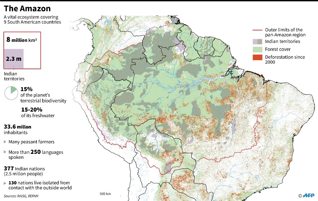 Football Pitch Of Rainforest Destroyed Every Six Seconds