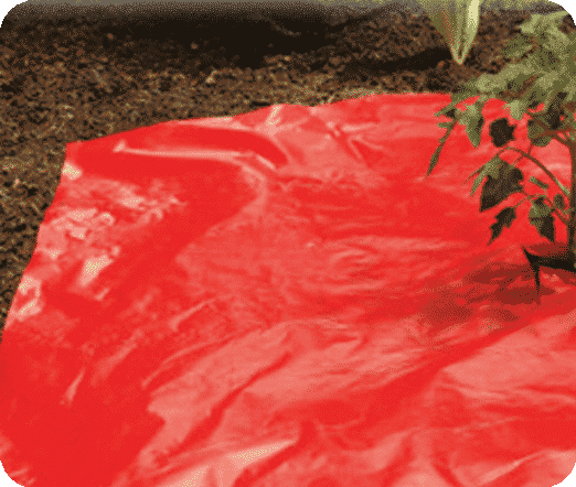 Red Mulch Film