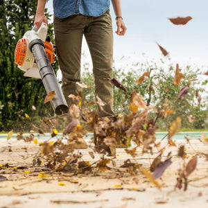 BG 56 C-E Petrol Leaf Blower