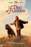 A Dog of Flanders | ShotOnWhat?