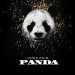 Desiigner: Panda