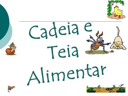 Cadeia e Teia Alimentar